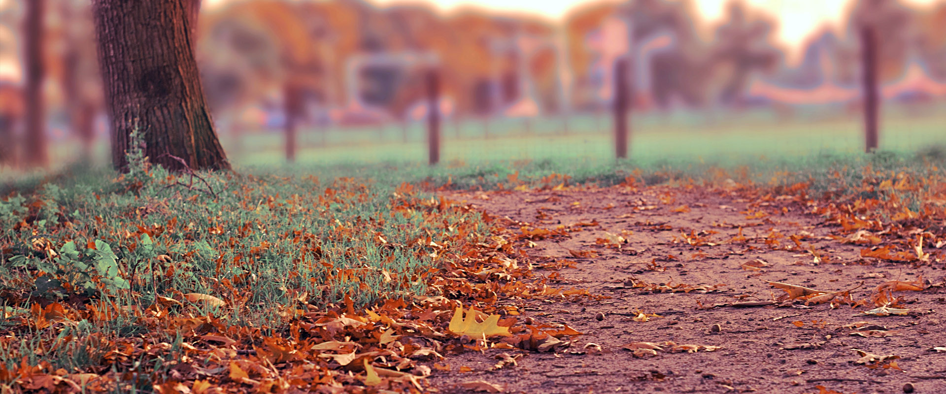 正规的注册渠道推荐的ddos攻击
