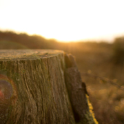 账号交易网站正规的ddos攻击