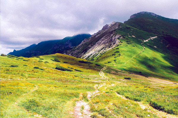 ddos压力测试网页端